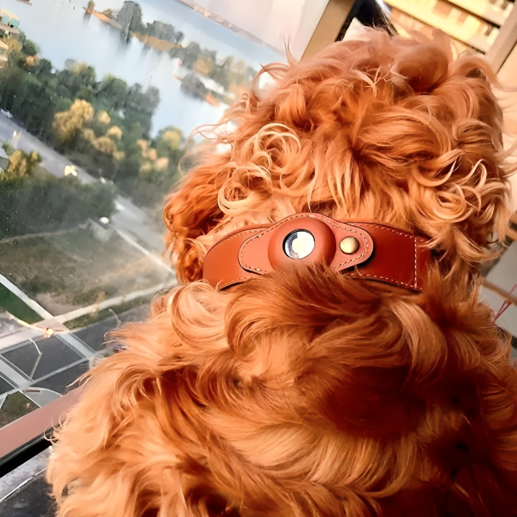 TrackTails™ | Hundhalsband av läder med AirTag-ficka