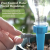 12 + 12 GRATIS IDAG | SproutSip™ | Enkel återfuktning för glada krukväxter!