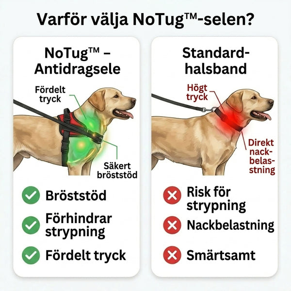 TILLFÄLLIGT 50% OFF  NoTug™ - Antidragsele
