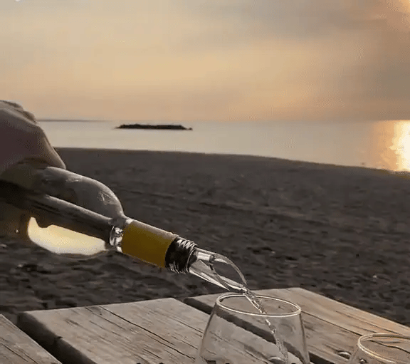 TILLFÄLLIGT 50% OFF  ChillRod™ - Vino Chill