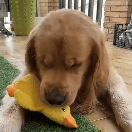 TILLFÄLLIGT 50% OFF  TuffDuck™