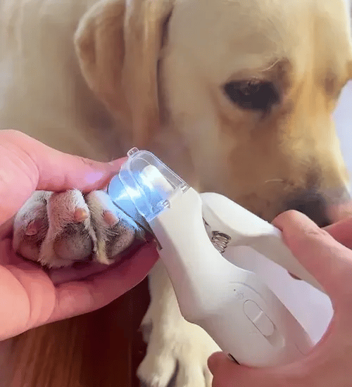 TILLFÄLLIGT 50% OFF  PawProtec™