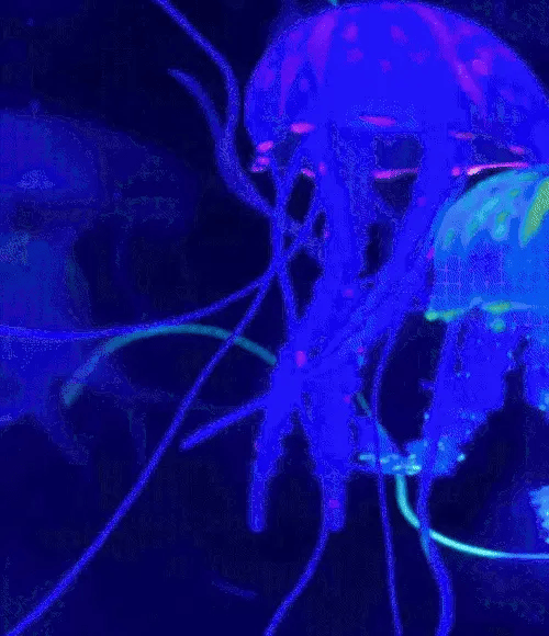 TILLFÄLLIGT 50% RABATT  GlowQuatic™