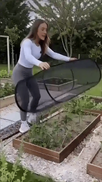 TILLFÄLLIGT 50% OFF  PlantGuard™