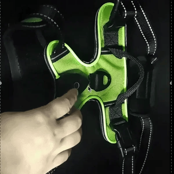 TILLFÄLLIGT 50% OFF  GloLeash™ 