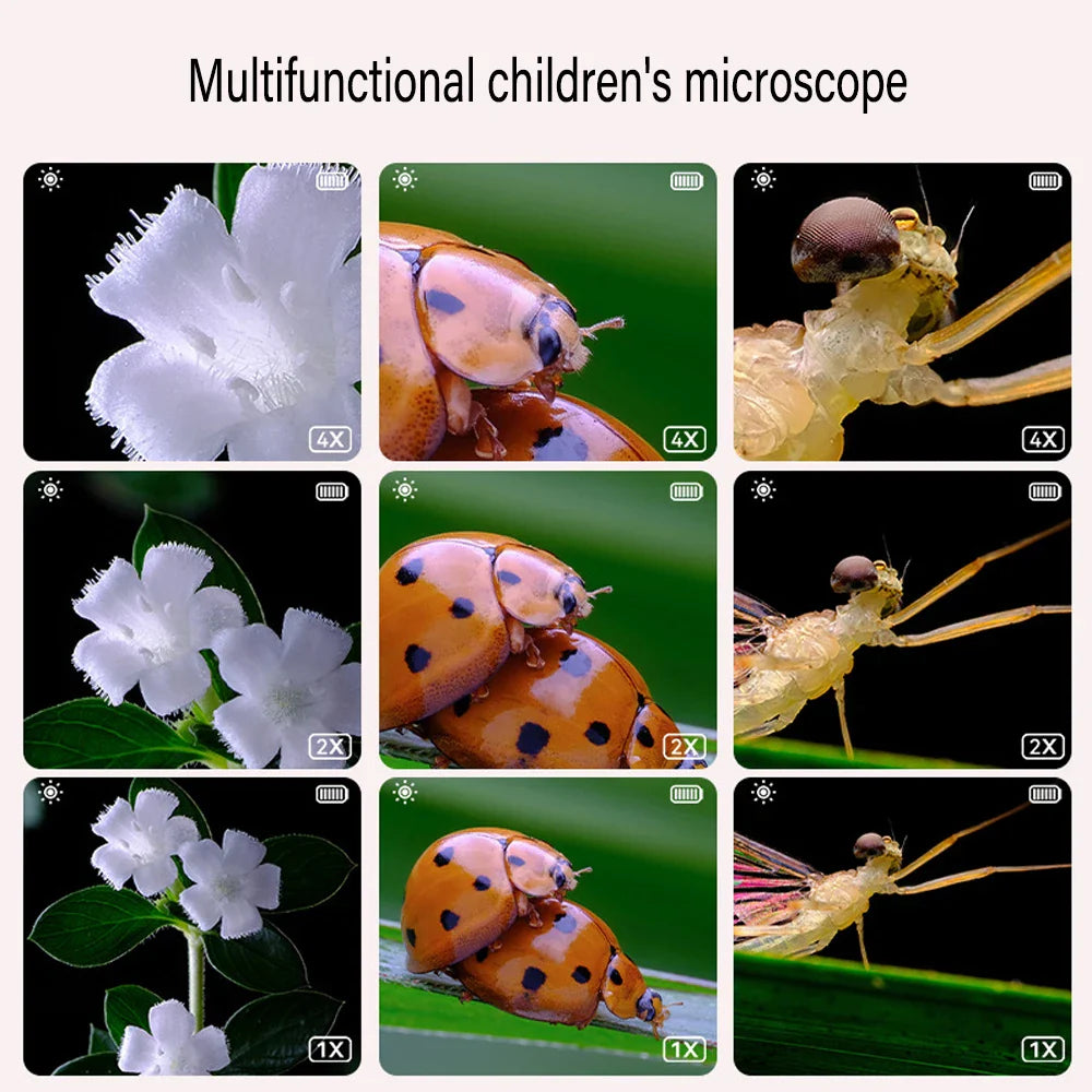 MicroExplorer™ | Digitalt handhållet förstorande mikroskop