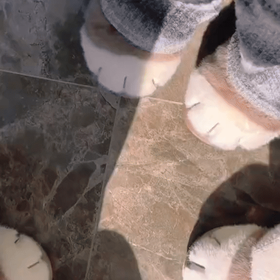 TILLFÄLLIGT 50% OFF  PurrStep™