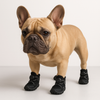 TILLFÄLLIGT 50% OFF | PawSafe™