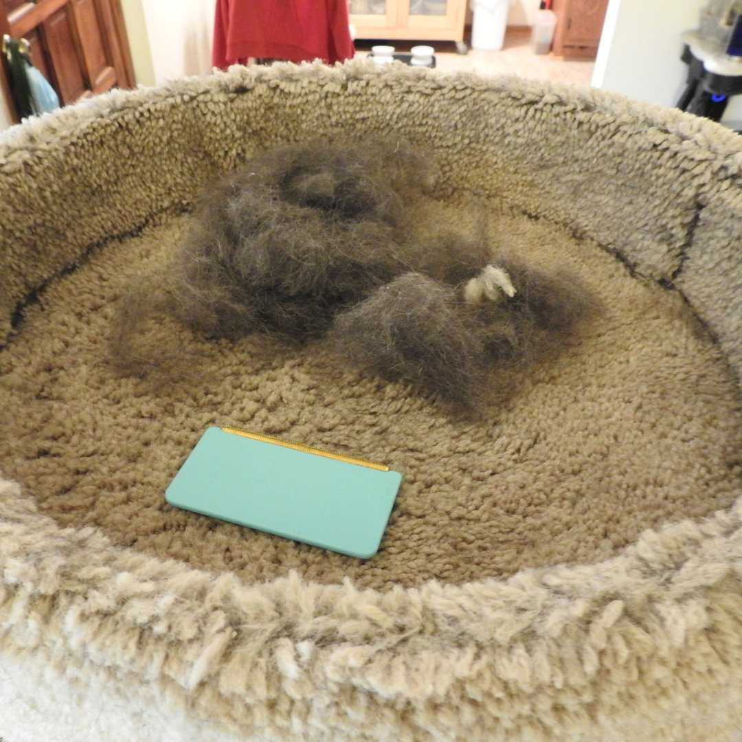 HairSweep™ | Matta kratta Hårborttagningssats för husdjur