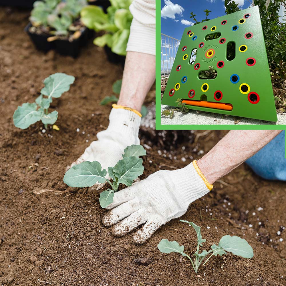 TILLFÄLLIGT 50% OFF | PlantGrid™