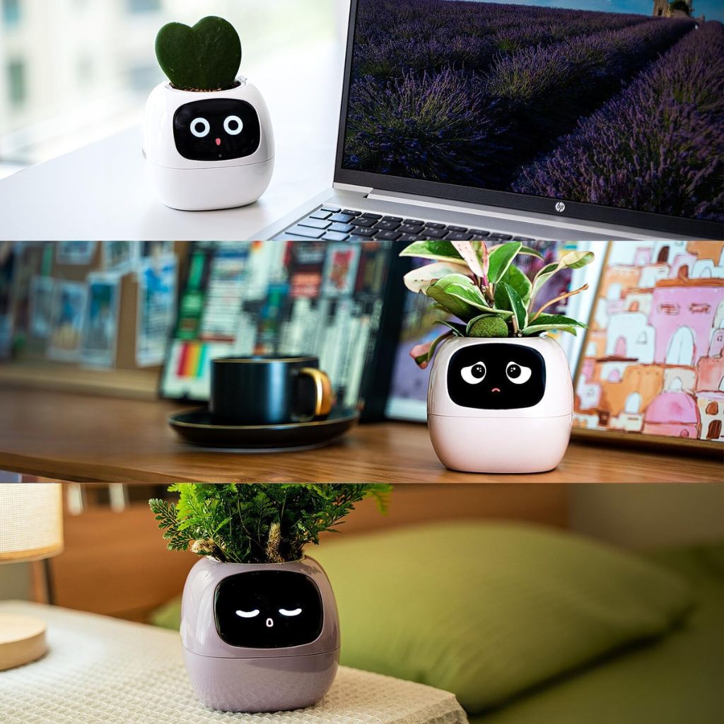 BloomBot™ | Smart växtkruka