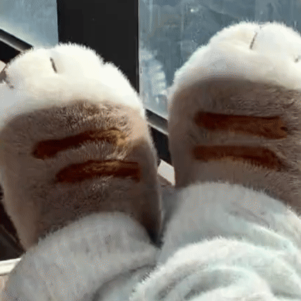 TILLFÄLLIGT 50% OFF  PurrStep™