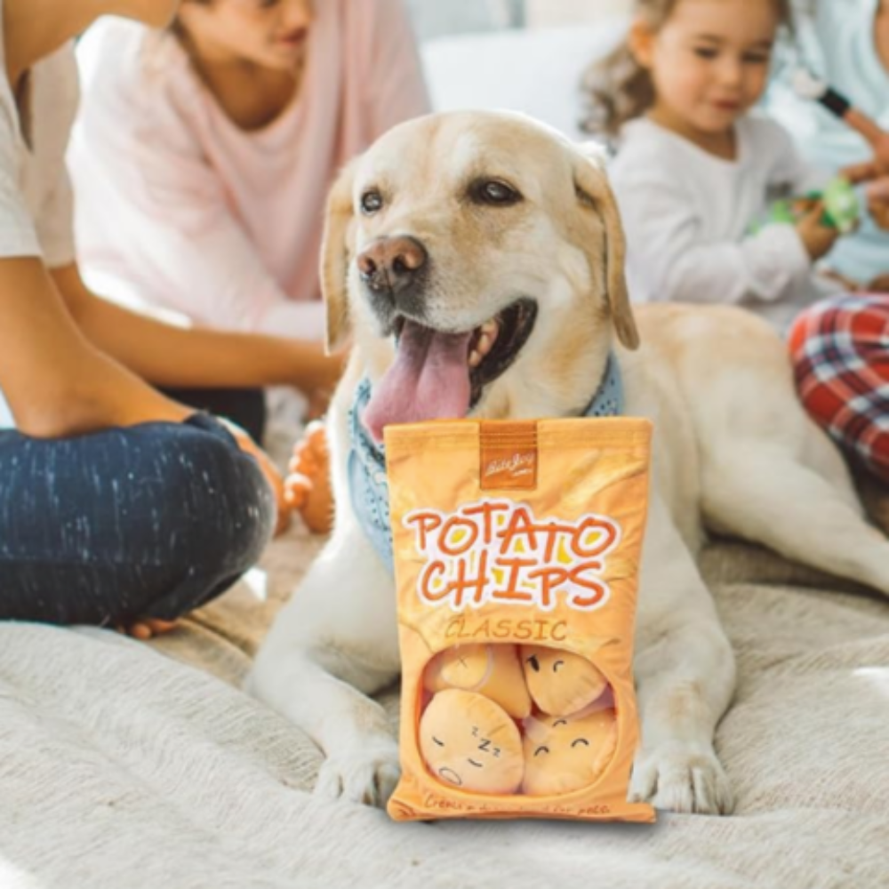TILLFÄLLIGT 50% OFF | PawtatoChips™