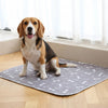 1 + 1 GRATIS IDAG | PetPad™