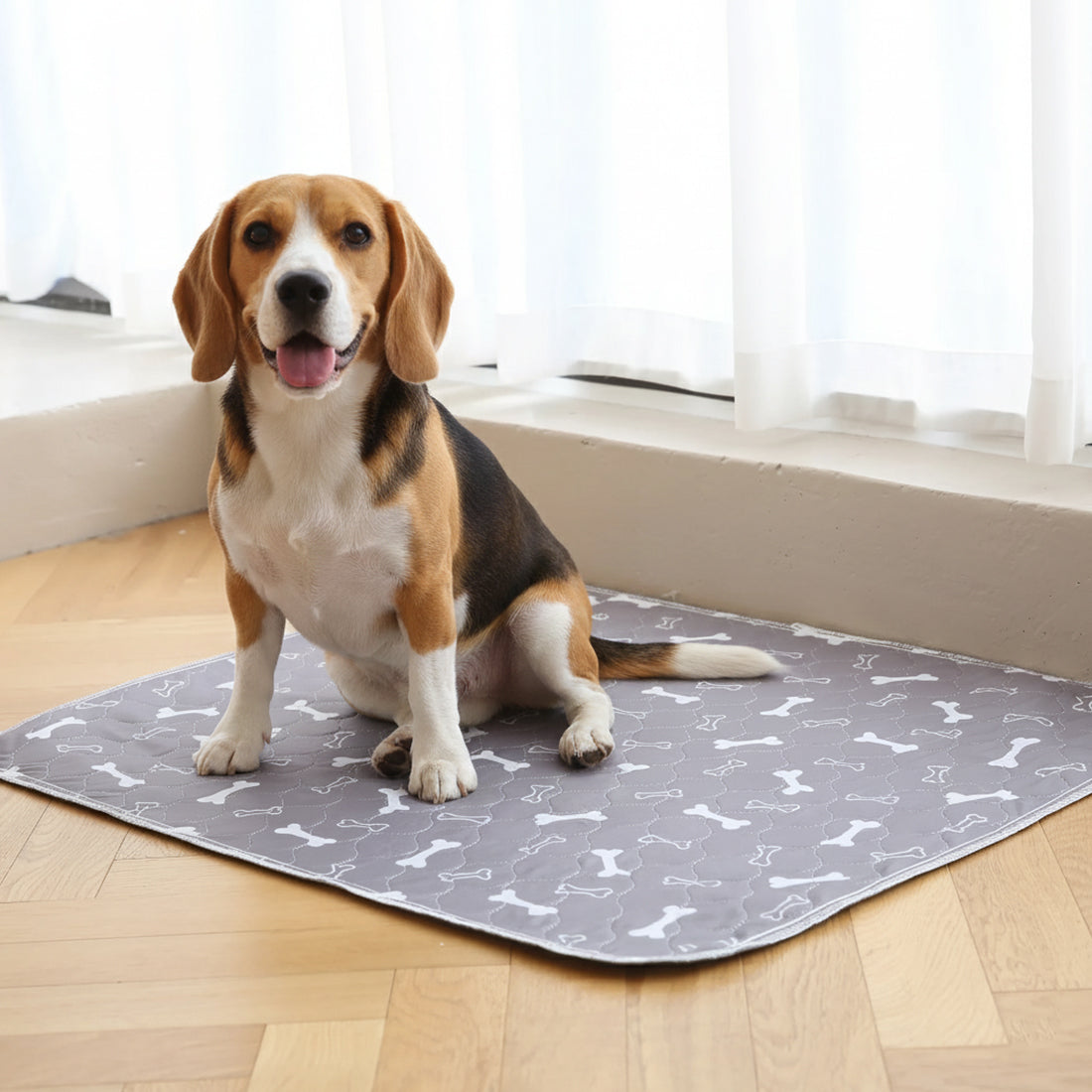 1 + 1 GRATIS IDAG | PetPad™