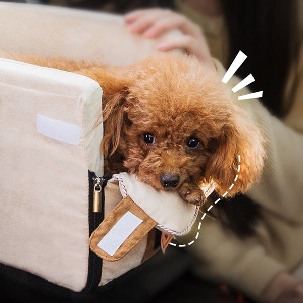 TILLFÄLLIGT 50% OFF  PawPort™
