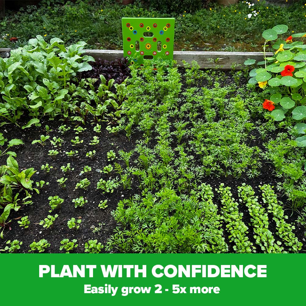 TILLFÄLLIGT 50% OFF | PlantGrid™