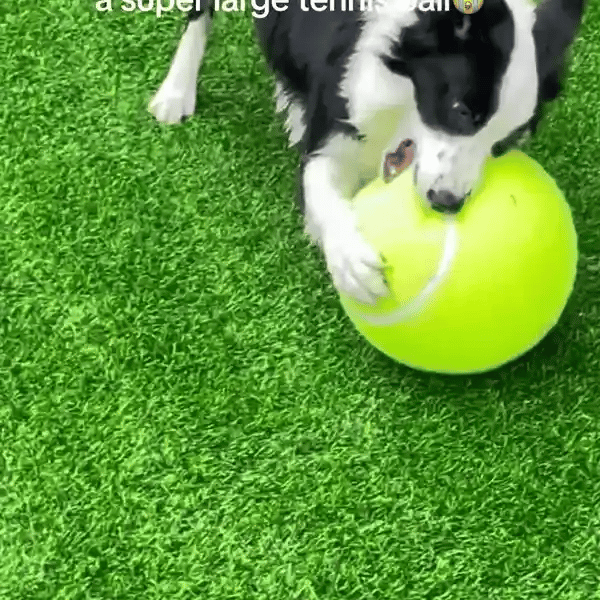 TILLFÄLLIGT 50% OFF  MegaFetch™